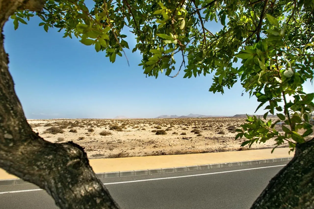 Apartamentos Vistas Dunasol Corralejo España